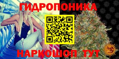 бошки Малгобек