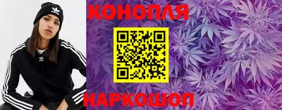 стаф Малоярославец