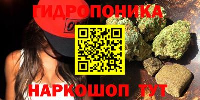 бошки Малгобек
