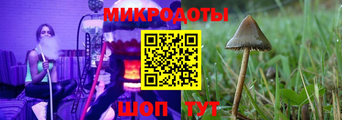Галлюциногенные грибы прущие грибы Владивосток